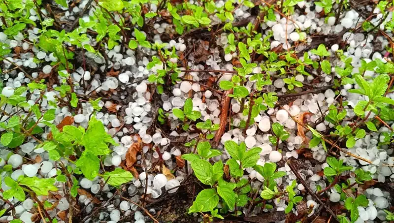 Temmuz Ortasında Yaşanan Dolu Felaketi: Nedenleri ve Sonuçları