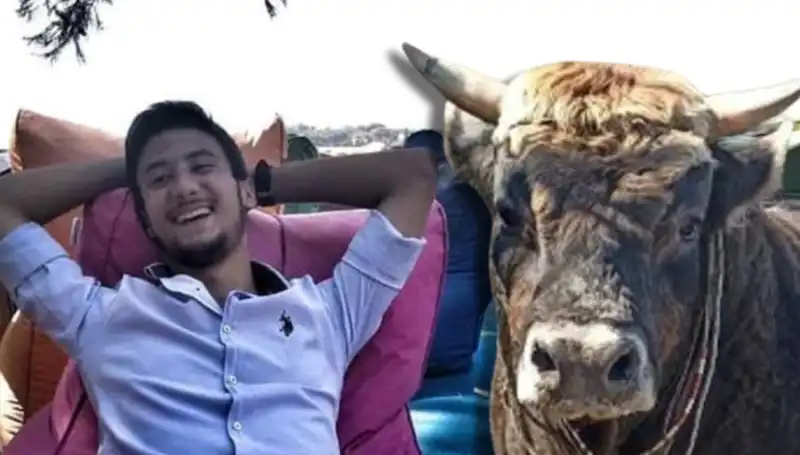 Aydın’da Güreş Boğası Kayıplara Karıştı: Şok Eden Olay Açıklandı!