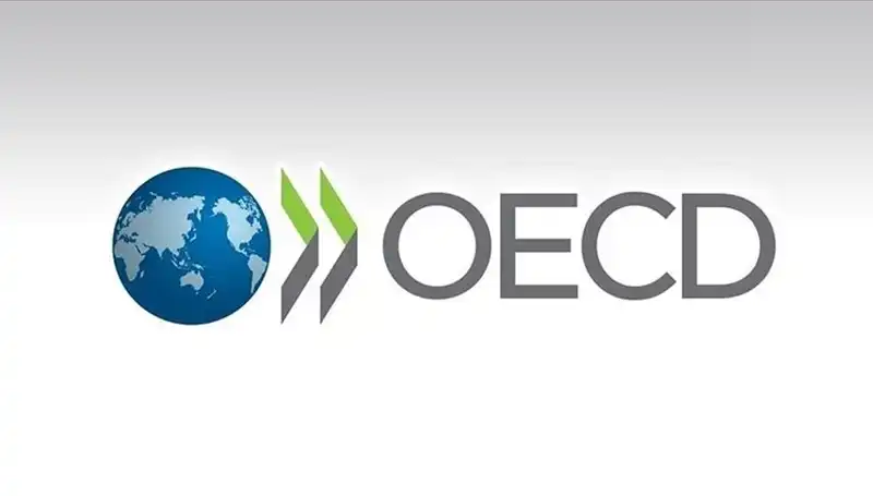 OECD, Türkiye’nin Ekonomik Büyüme Tahminlerini Güncelledi: Ne Bekleniyor?