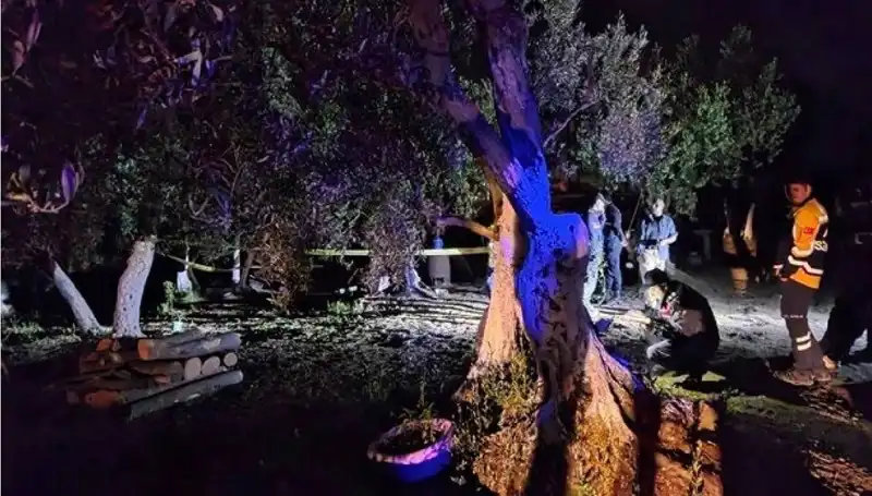 Çiftlikteki Baltalı Vahşet Olayında Şok Tutuklama Gerçeği
