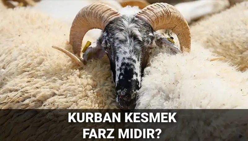 Diyanet’e Göre Kurban Kesmek Farz mı? Şartları Neler?