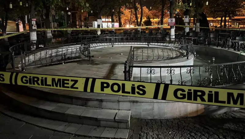 Kırklareli'nde Süs Havuzunda Yaşanan Korkutucu Olay: Dört Yaralı