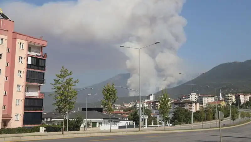 Denizli'de Korkutan Orman Yangını: Bir Şüpheli Gözaltına Alındı