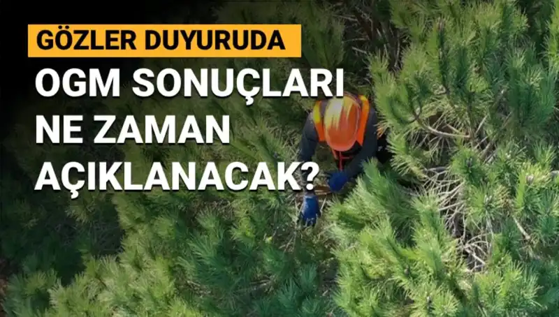 Orman Genel Müdürlüğü'nde 3 Bin 477 Sözleşmeli Personel Alımı: Bekleyiş Sürüyor