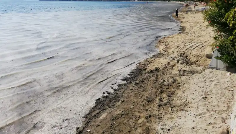 Müsilajla Mücadelede Karar: 268 İşletmenin Faaliyeti Durduruldu