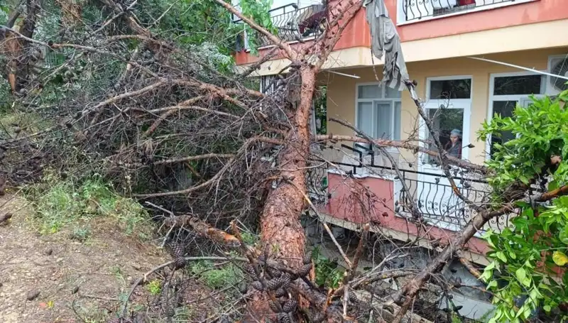 Yağmura Daha Fazla Dayanamayan Bina, Moloz Halinde Yere Yığıldı