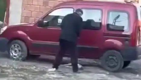 Sokakta Köpeğe Uygulanan Şiddet: Toplumun Tepkisi Ne Olacak?
