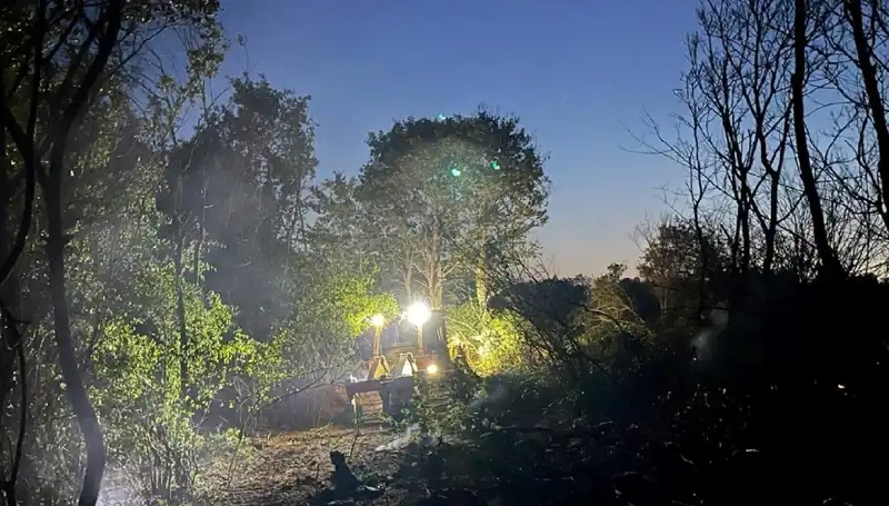 Edirne'deki Korkutan Orman Yangını Sonunda Kontrol Altına Alındı