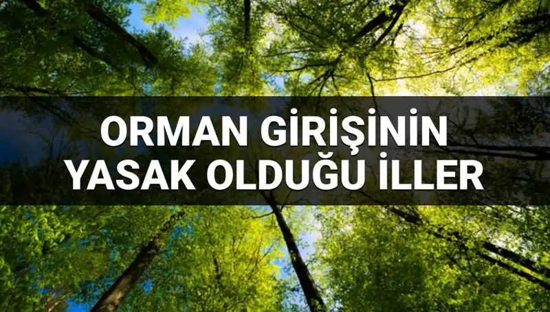 2025’te Ormana Girişin Yasaklandığı İller: Hangi Bölgeler Etkilenecek?