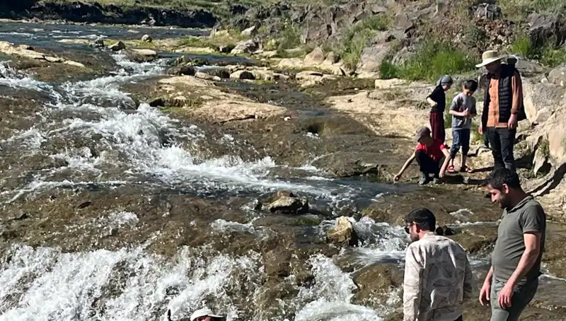 İnci Kefalinin Göçü: Doğa İle Buluşan Turistlerin Büyüleyici Hikayesi