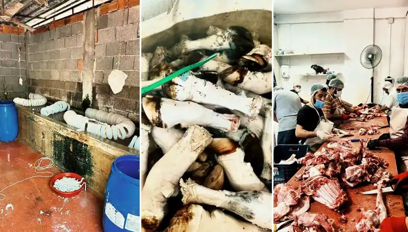 Adana'da Yüzlerce Kilo Paça Ele Geçirildi, Sağlık Tehlikesi Gündemde!