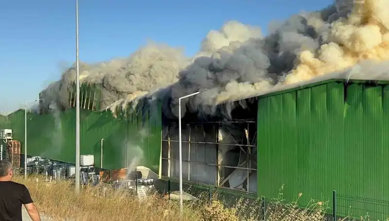 Balıkesir'deki Fabrika Yangınında Can Kaybı: 1 Kişi Tutuklandı