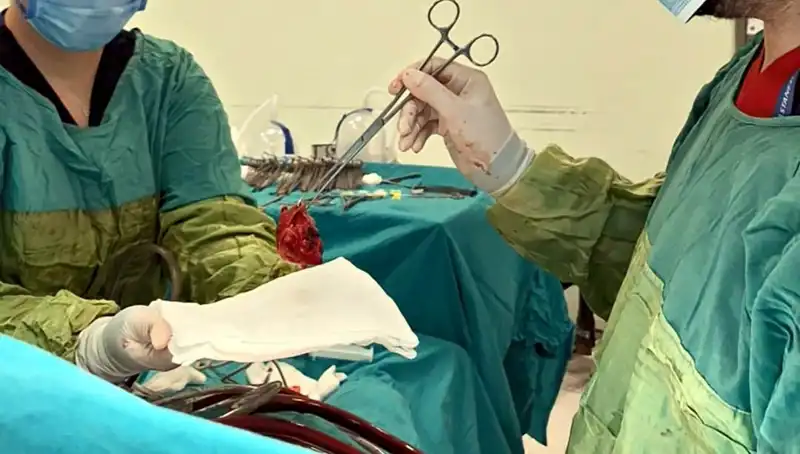 Kalp Kapağı Çürüyen Hastanın 7 Saatlik Ameliyatında Mucizevi Başarı
