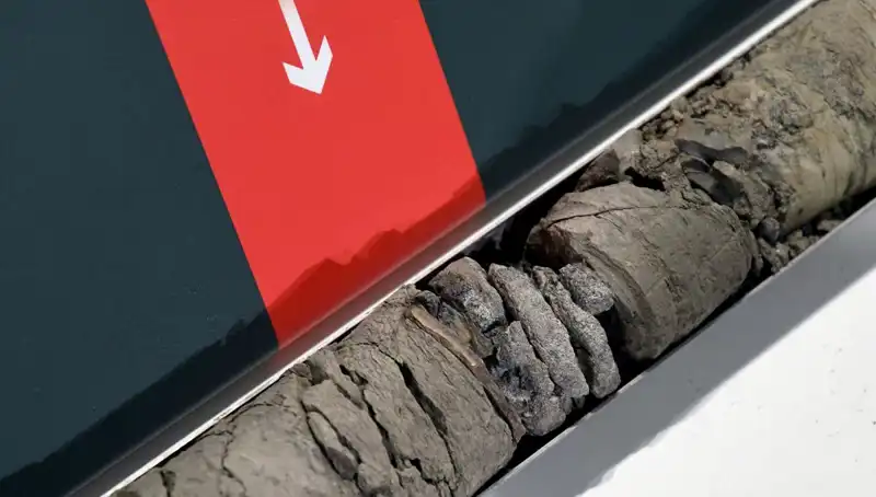 Otopark Kazısında Tarihi Buluntu: Dinozor Fosili Keşfedildi