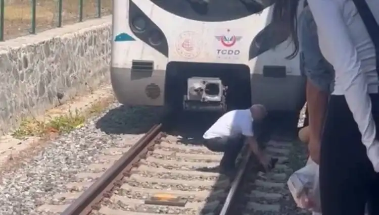 Marmaray Makinistinin Duyarlılığı: Raylardaki Kedi Yolculuğu Durdurdu