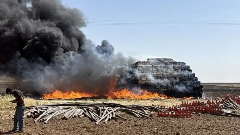 Mardin’de Anız Yangınları: Tarım Alanları Korkutucu Bir Tehlikeyle Karşı Karşıya